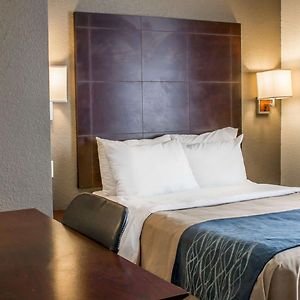 Family Room Three Double Beds Non-Smoking